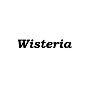 Wisteria perfumes
